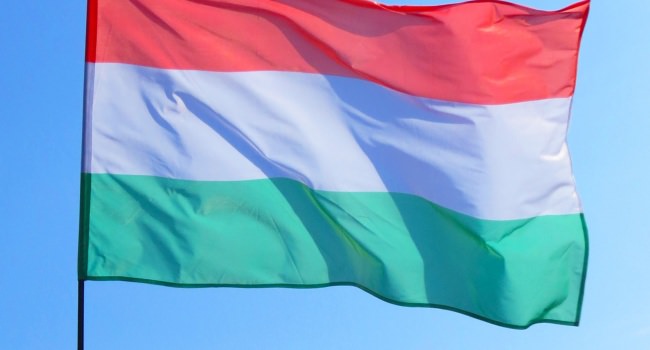 Венгрия изменила скандальное название «уполномоченного по Закарпатью»