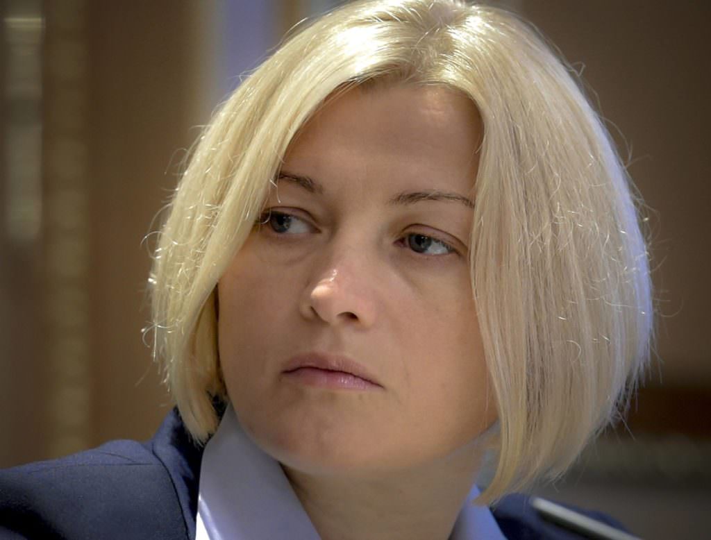 Заяви Угорщини та Румунії щодо закону про освіту свідчать про територіальні претензії до України – віце-спікер Ради