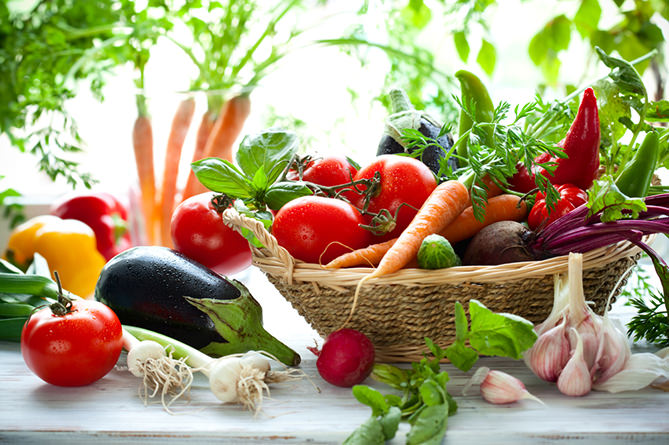 Експорт української агропродукції в ЄС зріс майже на 40%