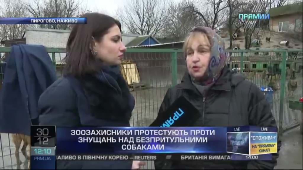 Зоозахисники у Пирогово протестують проти знущання над тваринами та розстрілів собак