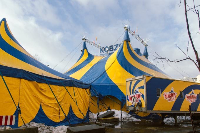 Цирк "Кобзов" та столична гімназія: У КМДА назвали осередки спалаху кору