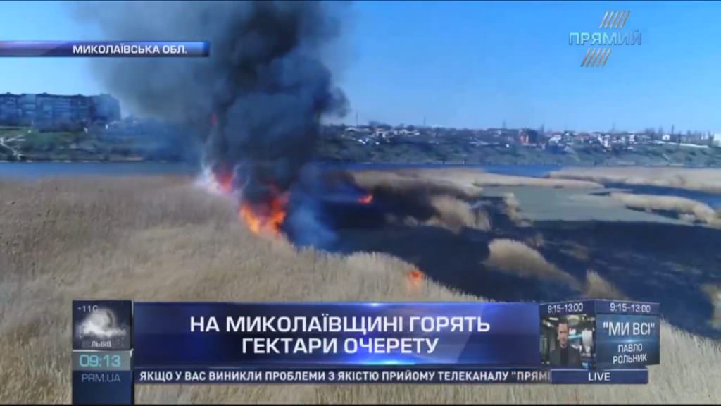 У двох областях України вирують масштабні пожежі