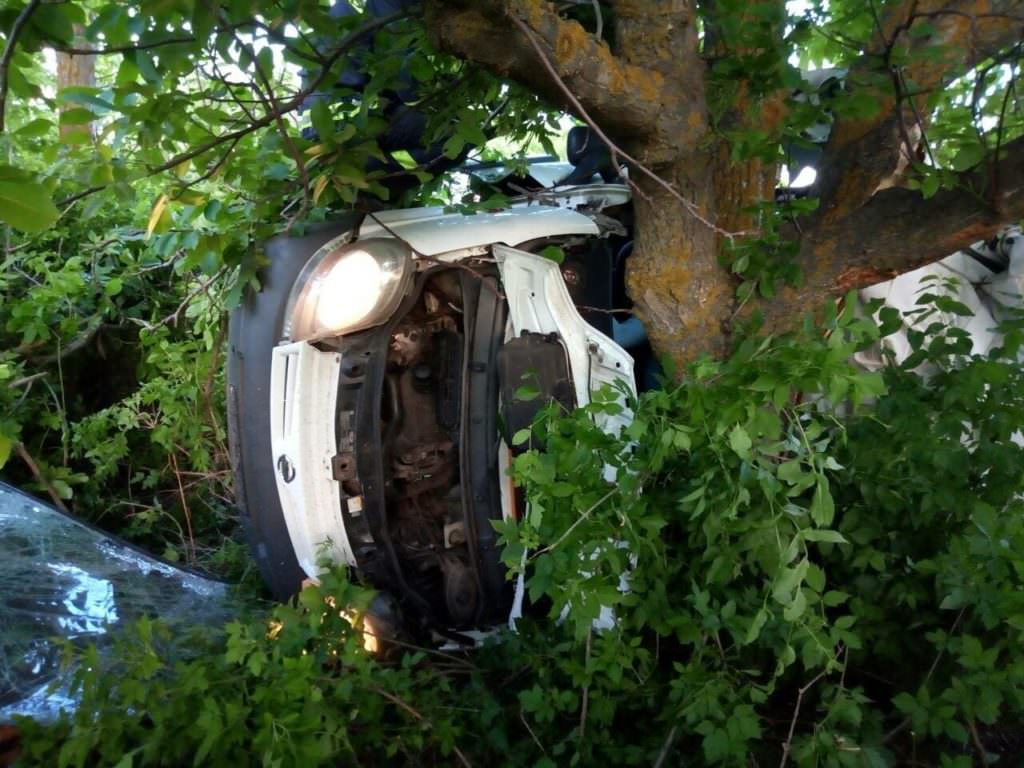 П’ятеро загиблих та троє постраждали: Жахлива ДТП на Миколаївщині фото