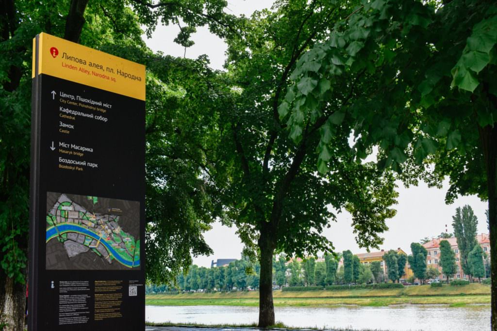 В Ужгороді зацвіла найдовша в Європі липова алея (фото)