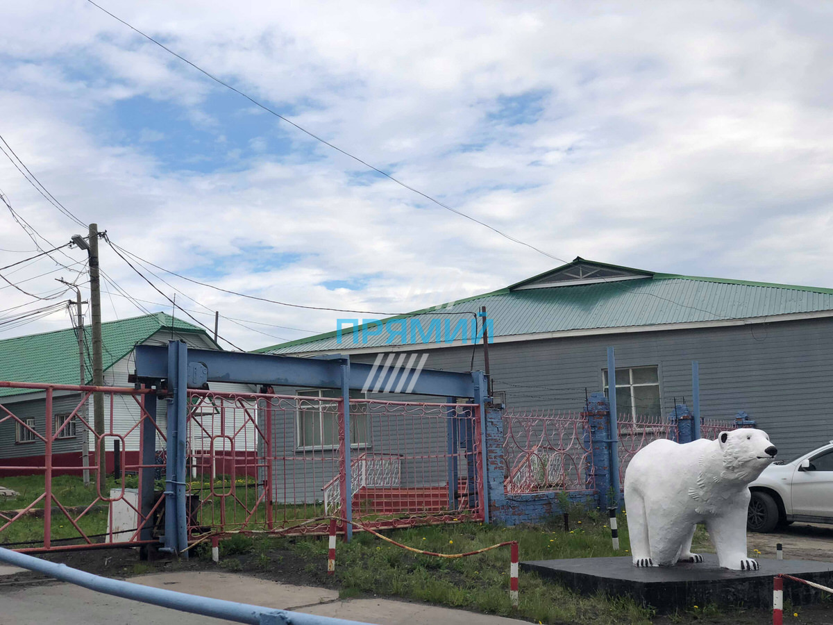 Лабинтнангі Сенцов, фото