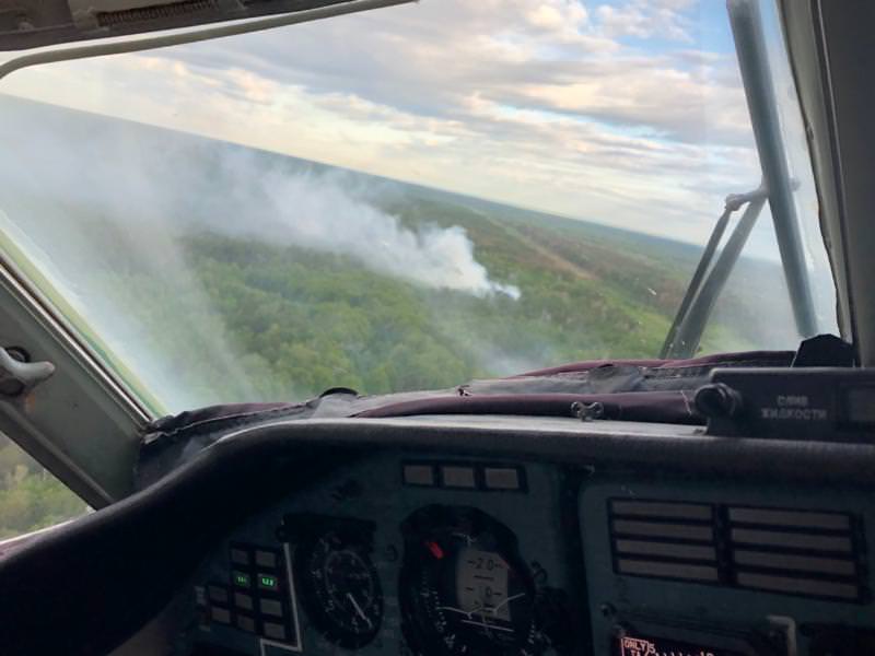 Пожежа в Чорнобильській зоні: на площі 5 га все ще спостерігається горіння