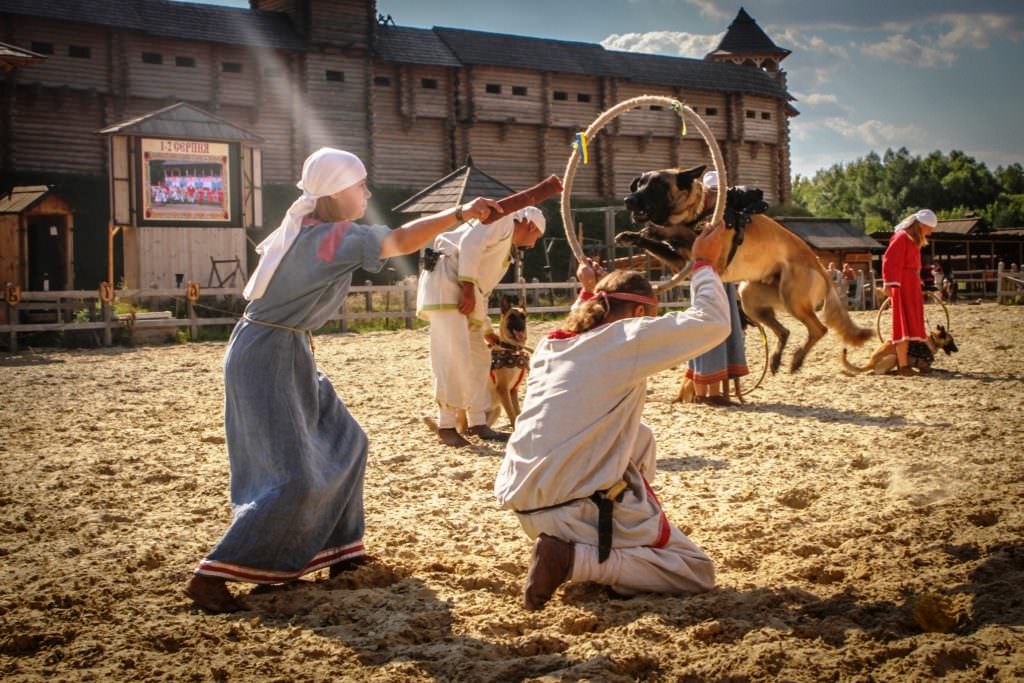 Під Києвом пройде фестиваль домашніх улюбленців "Волохаті лапки"