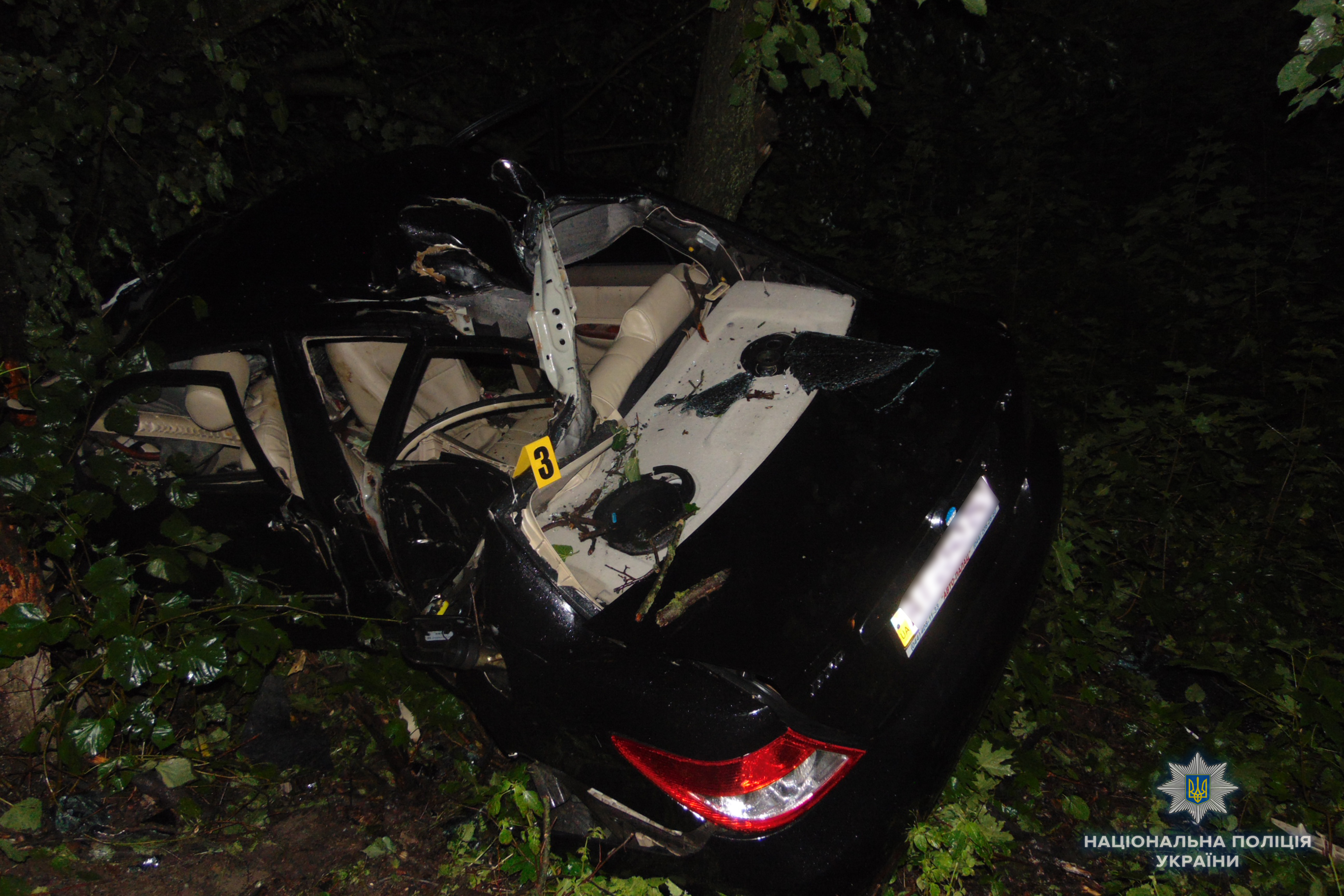 ДТП Канів, 27.07.18: BYD влетів у дерево - новини України
