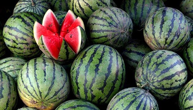 Херсонские арбузы плывут на Киев: баржа отправится уже завтра