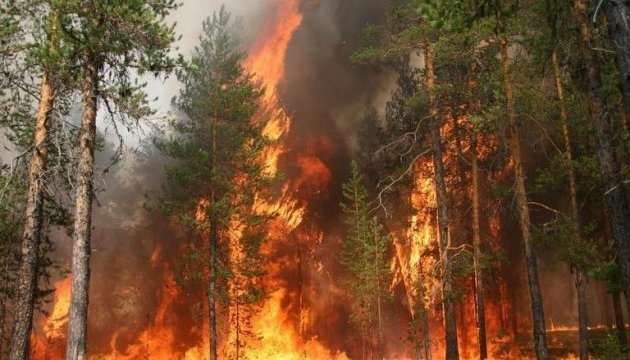 Ялтинський заповідник у вогні