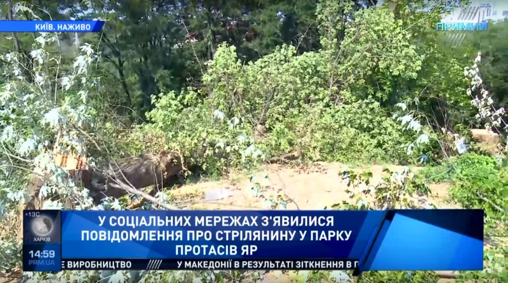 Стрельба в парке «Протасов Яр»: первые подробности