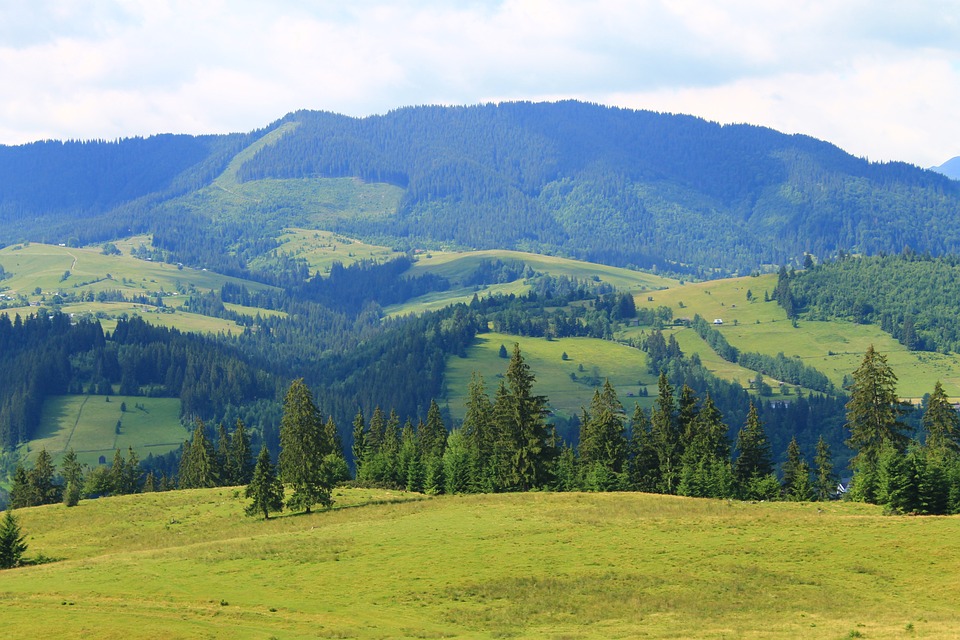 ARMA cancelled the sale of 460 hectares of land to companies associated with Levochkin.