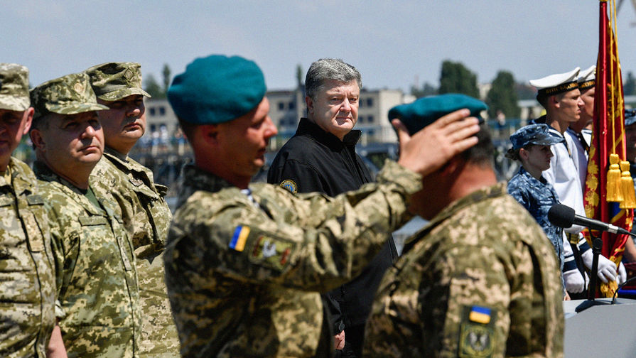 Золоті крила з якорем: українські морпіхи отримали нову символіку