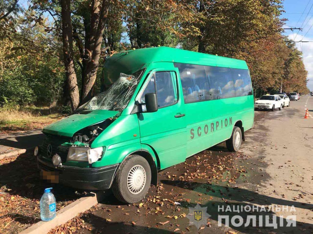 У Кривому Розі маршрутка врізалася в дерево: у поліції повідомили подробиці