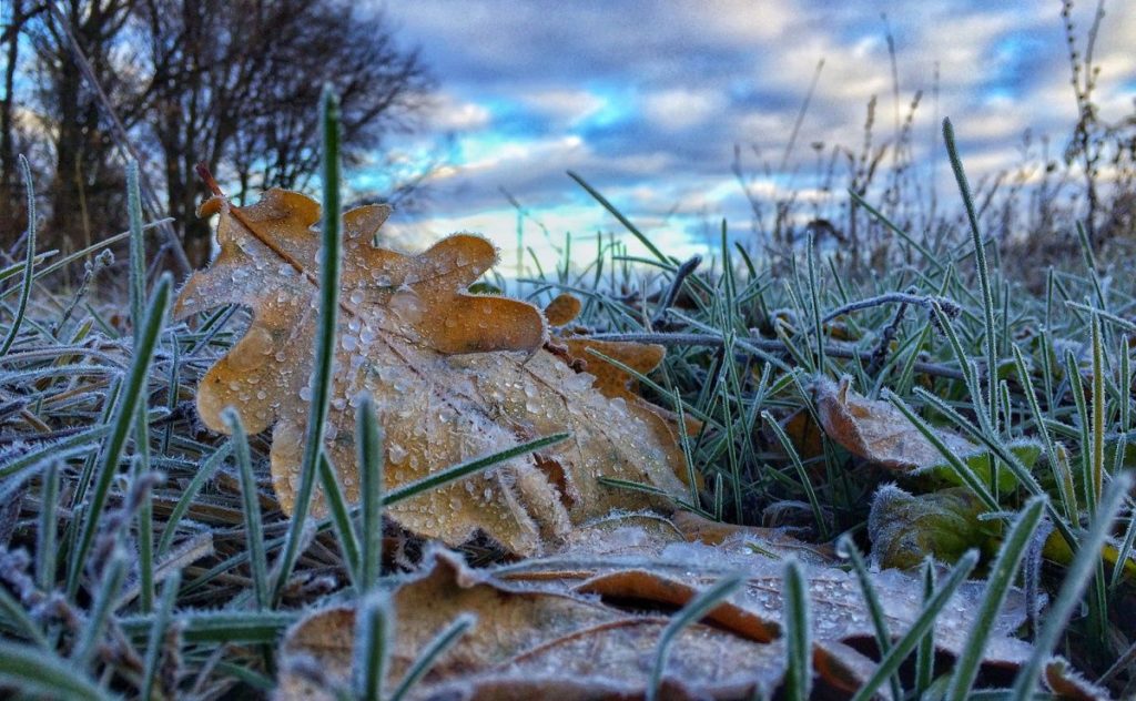 Snow and frost: when and where in Ukraine the weather will change significantly