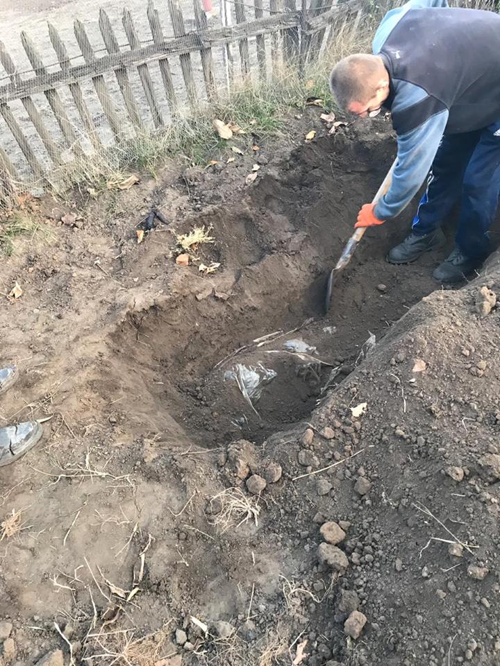 Серійні вбивці: у Кривому розі заарештовано банду нелюдів