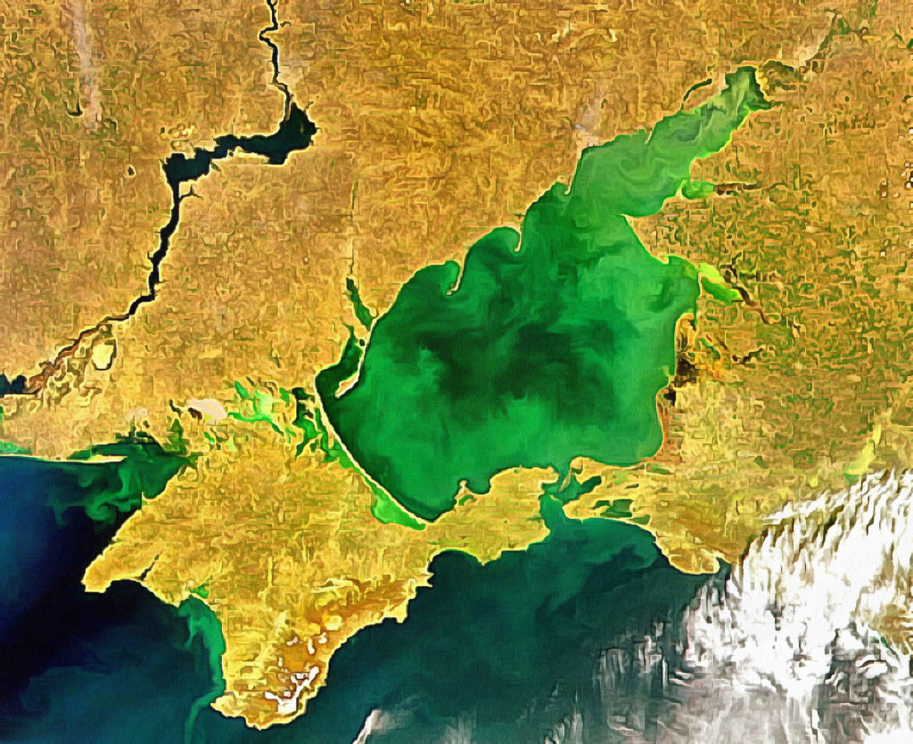 Российские суда могут свободно ходить  в Азовском море на основании договора о квотировании вылова рыбы — Снегирев