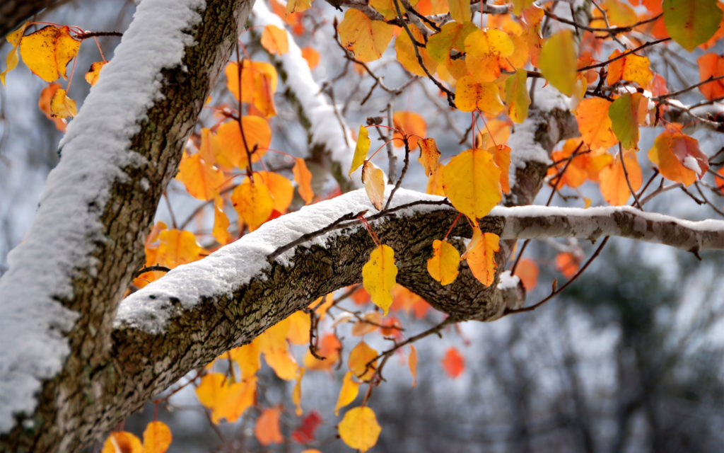 A gradual warming is expected in Ukraine.