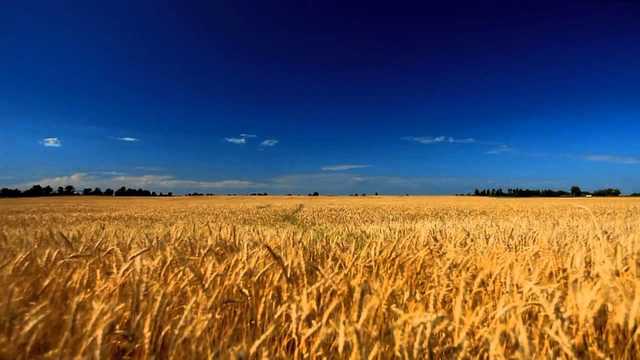 Правительство приняло ключевое решение об отмене моратория на продажу земли
