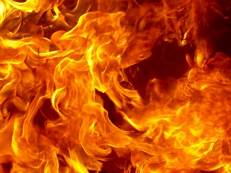 На Дніпропетровщині під час руху згорів автобус: фото інциденту