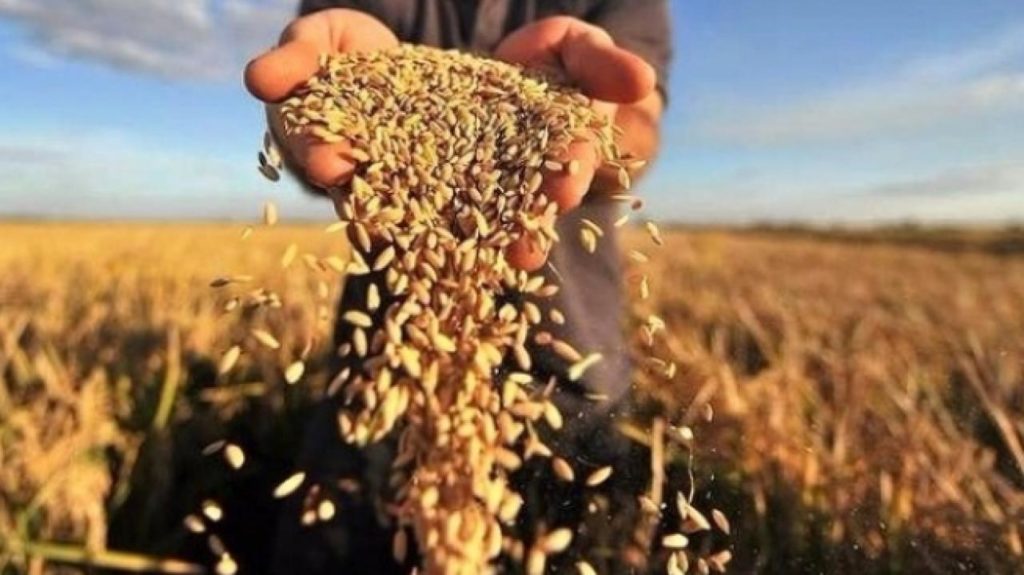 Експорт аграрної продукції з України до ЄС сягнув 4 млрд доларів