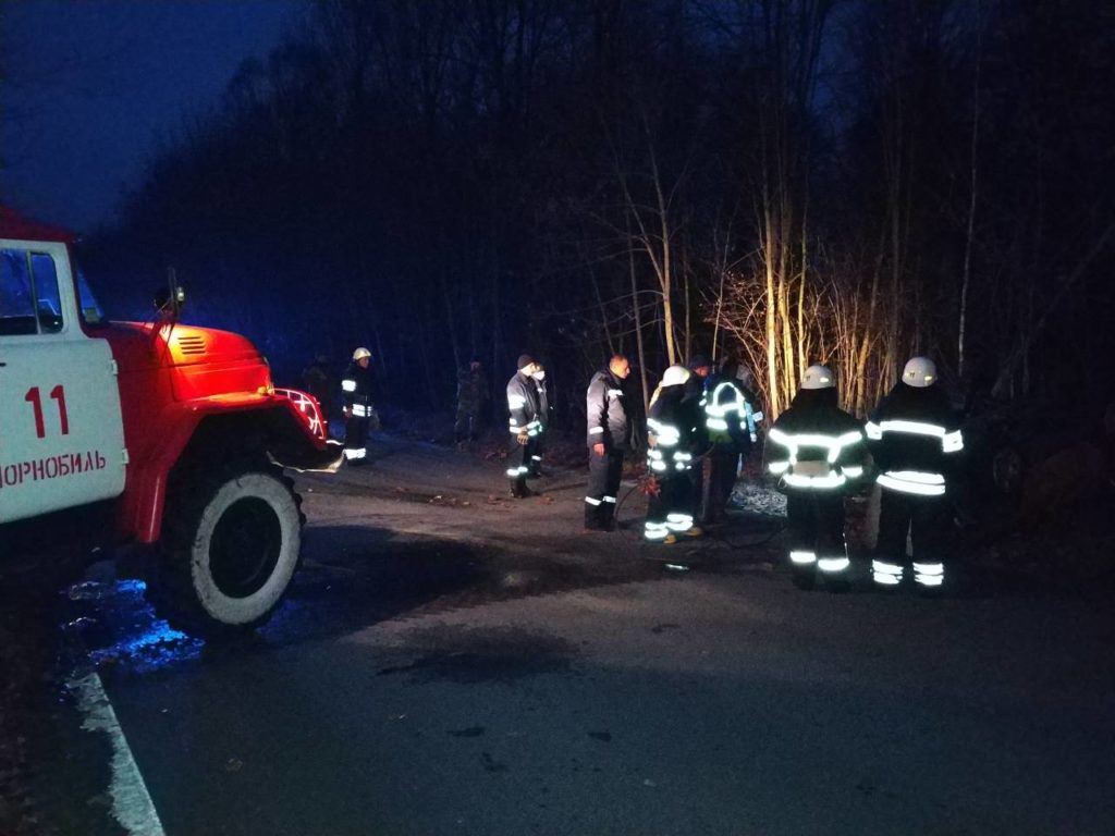 У Чорнобилі дика тварина стала причиною ДТП, є постраждалі: фото