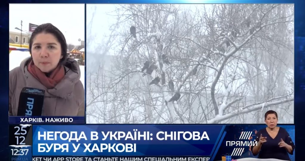 Харьков накрыла снежная буря: подробности «Прямого»