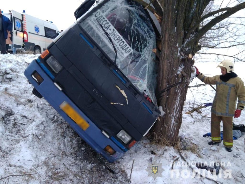 На Херсонщині вилетів у кювет та врізався у дерево пасажирський автобус: є постраждалі