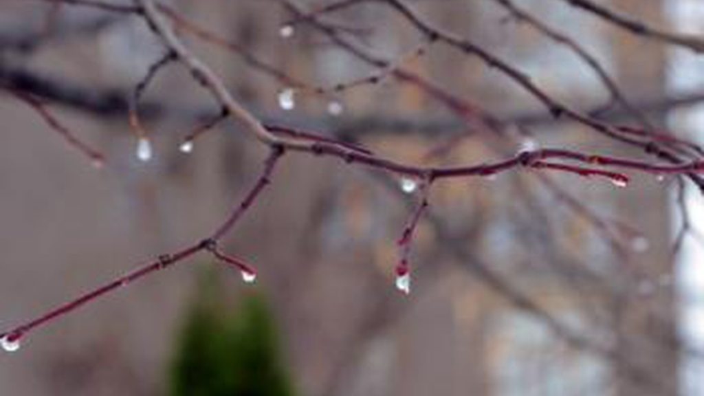 Temperatures are above normal: what weather to expect in February