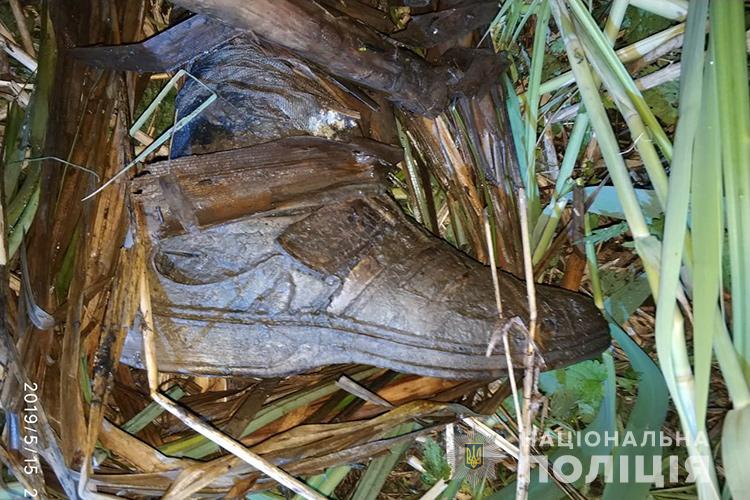Скелет в очереті: рибалки на Тернопільщині виловили моторошну знахідку