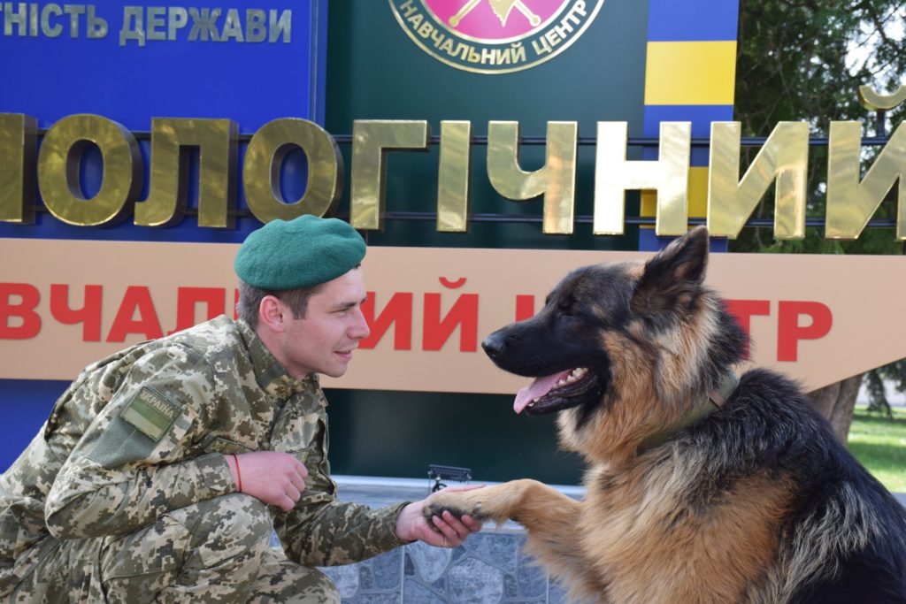 Всесвітній день собак: ДПСУ опублікувала зворушливі фото чотирилапих помічників