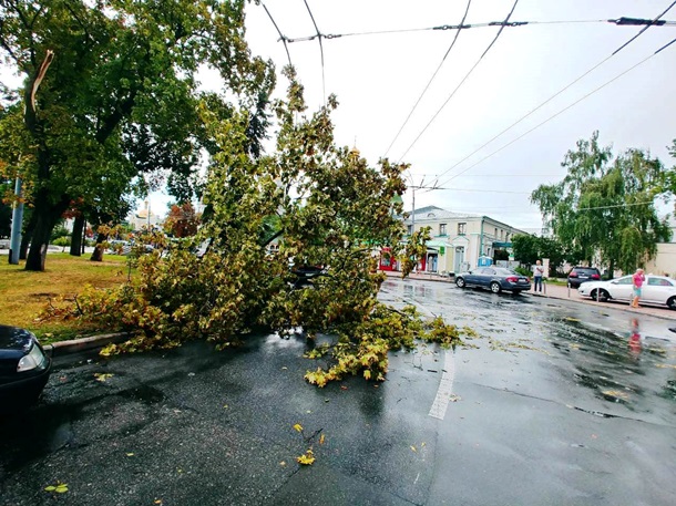 Ураган, який пронісся Києвом, знищив 120 дерев: фото ліквідації наслідків негоди
