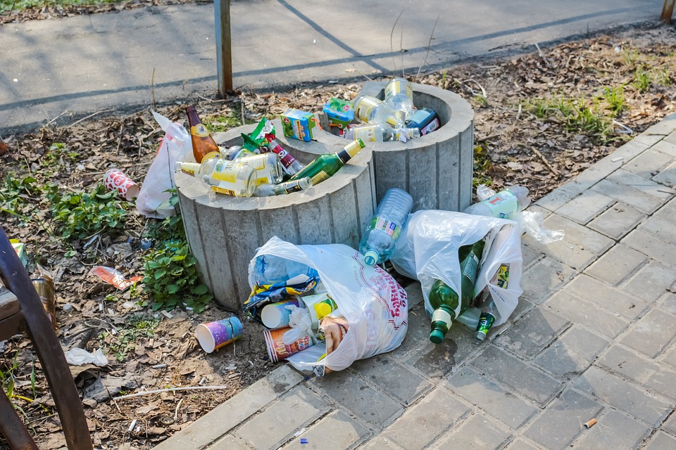 Німеччина з 2020 року заборонить пластикові пакети
