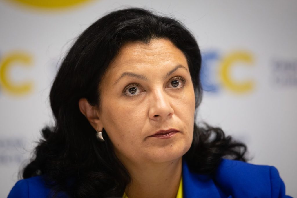 Україна взяла на себе додаткові зобов’язання після Нормандської зустрічі – Климпуш-Цинцадзе
