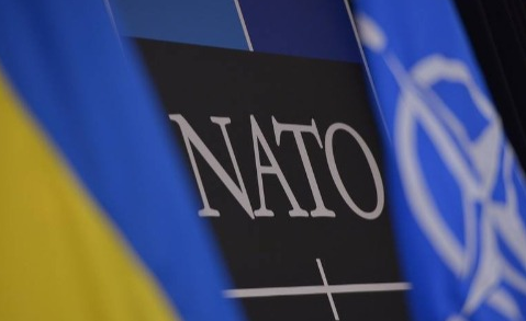 Зеленський підписав річну національну програму Україна-НАТО