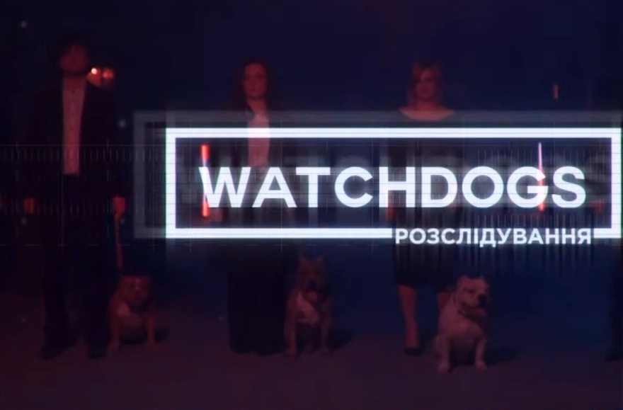 Політичні розбійники 2020 року: хто найбільше заслужив місце на антикорупційній ялинці  – Watchdogs.Розслідування