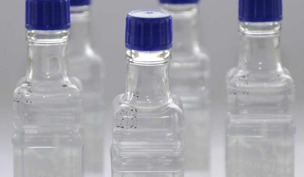 Кабмін заборонив продаж за кордон етилового спирту