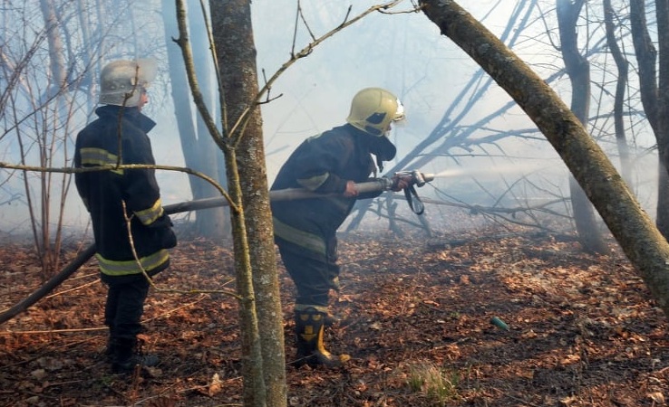 В Україні оголошено надзвичайний рівень пожежної небезпеки