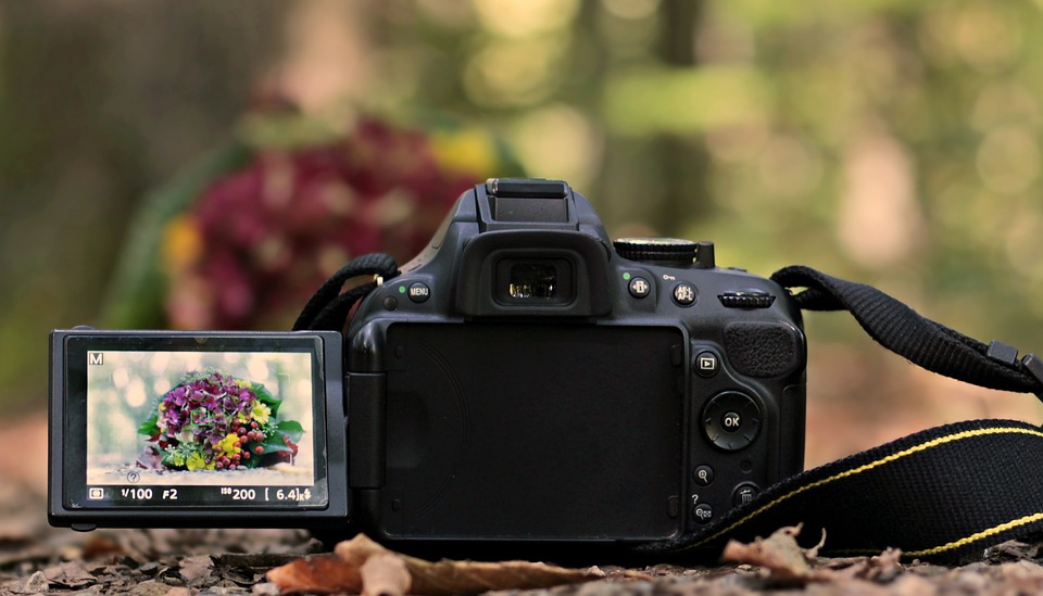 В дні карантину: компанія Nikon надала безкоштовний доступ до онлайн-курсів з фотографії