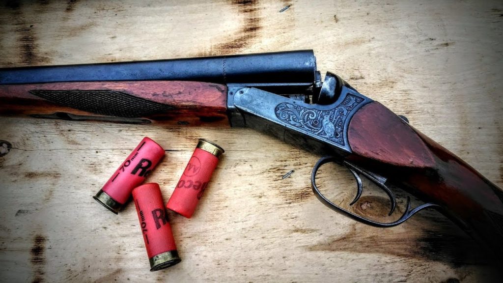 На Житомирщині на берегу ставка чоловік з рушниці вбив сімох людей: перші подробиці