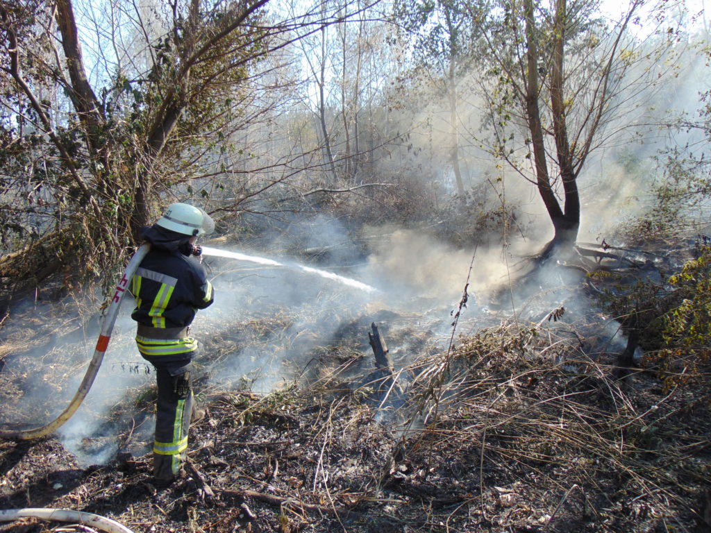 На Луганщині рятувальники продовжують гасити осередки тління після лісової пожежі: фото
