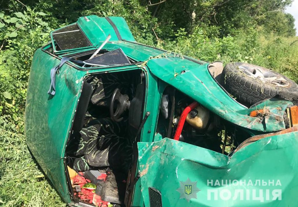 На Запоріжжі автомобіль вилетів у кювет: водій загинув
