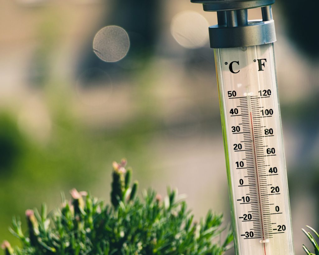 Coolness will be replaced by sharp heat: when to expect warming to 35°C in Ukraine