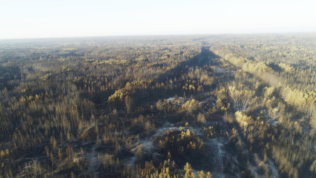 На Луганщині через пожежі детонують нерозірвані боєприпаси
