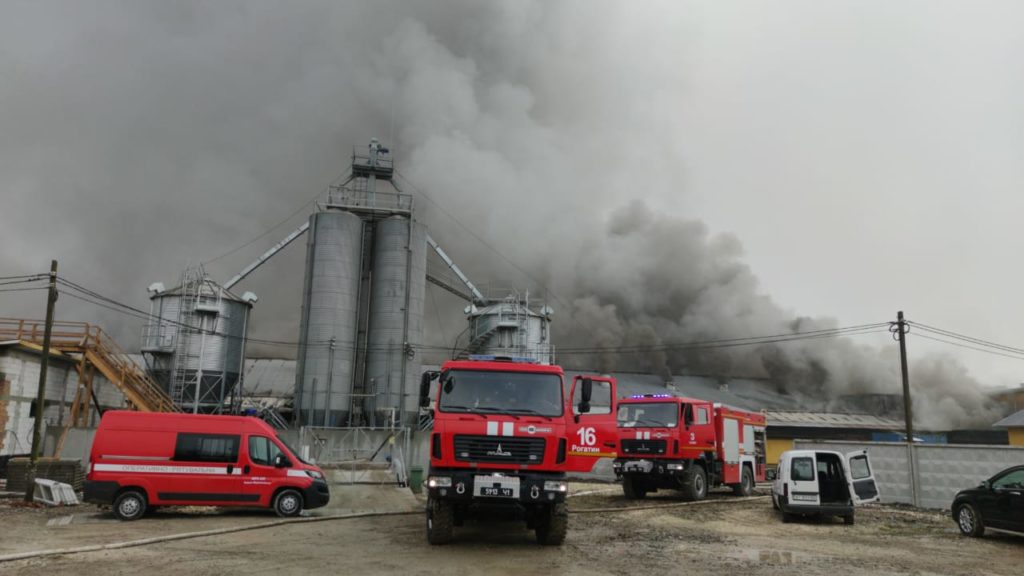 Під загрозою до 30 тисяч тварин: на Івано-Франківщині спалахнув один з найбільших у країні свинокомплексів