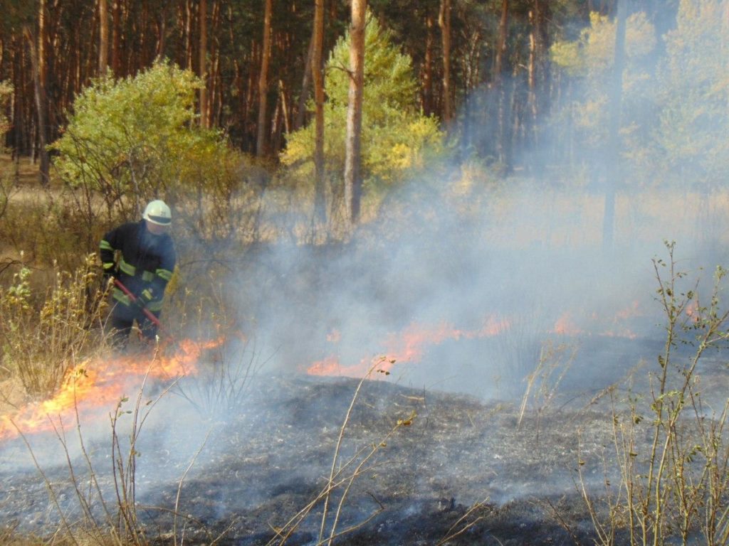 На Луганщині рятувальники гасять лісову пожежу: фото та відео