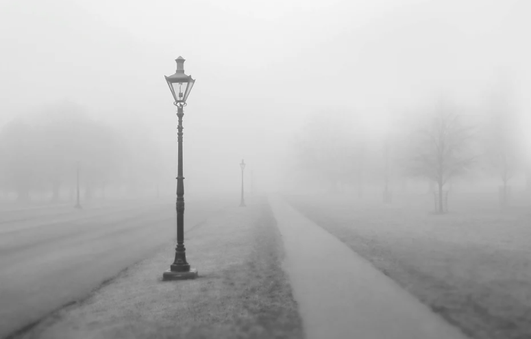 Rain and fog: what will the weather be like in Ukraine on October 29?