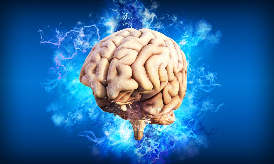 Слухай музику просто у мозку: Ілон Маск розповів про можливості чіпів Neuralink