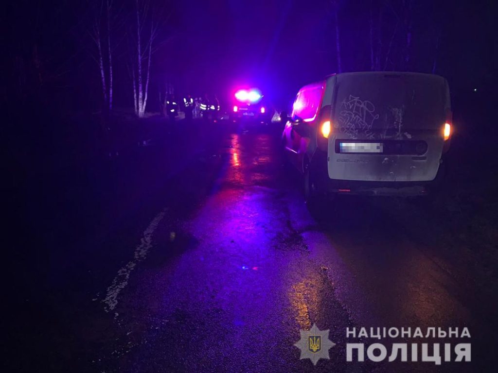 На Житомирщині п’яний водій збив дітей: є загиблий