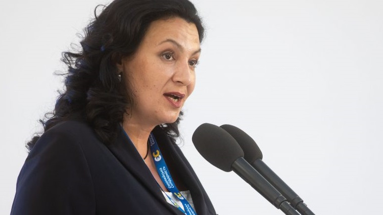 Необходимо остановить власть от отката реформ, которые обеспечили Украине безвиз — Климпуш-Цинцадзе